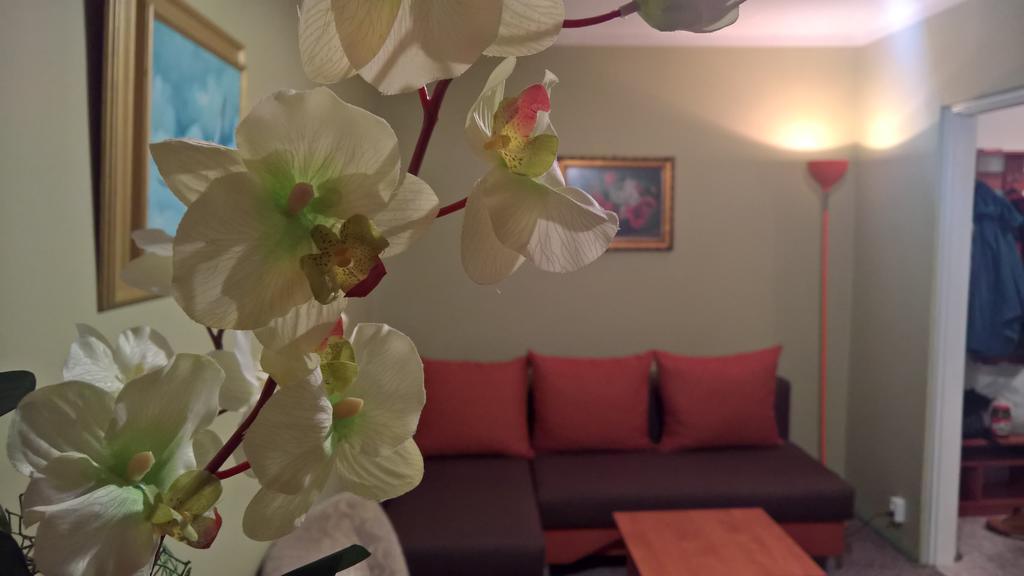 Apartament Konopnicka Augustów Zewnętrze zdjęcie